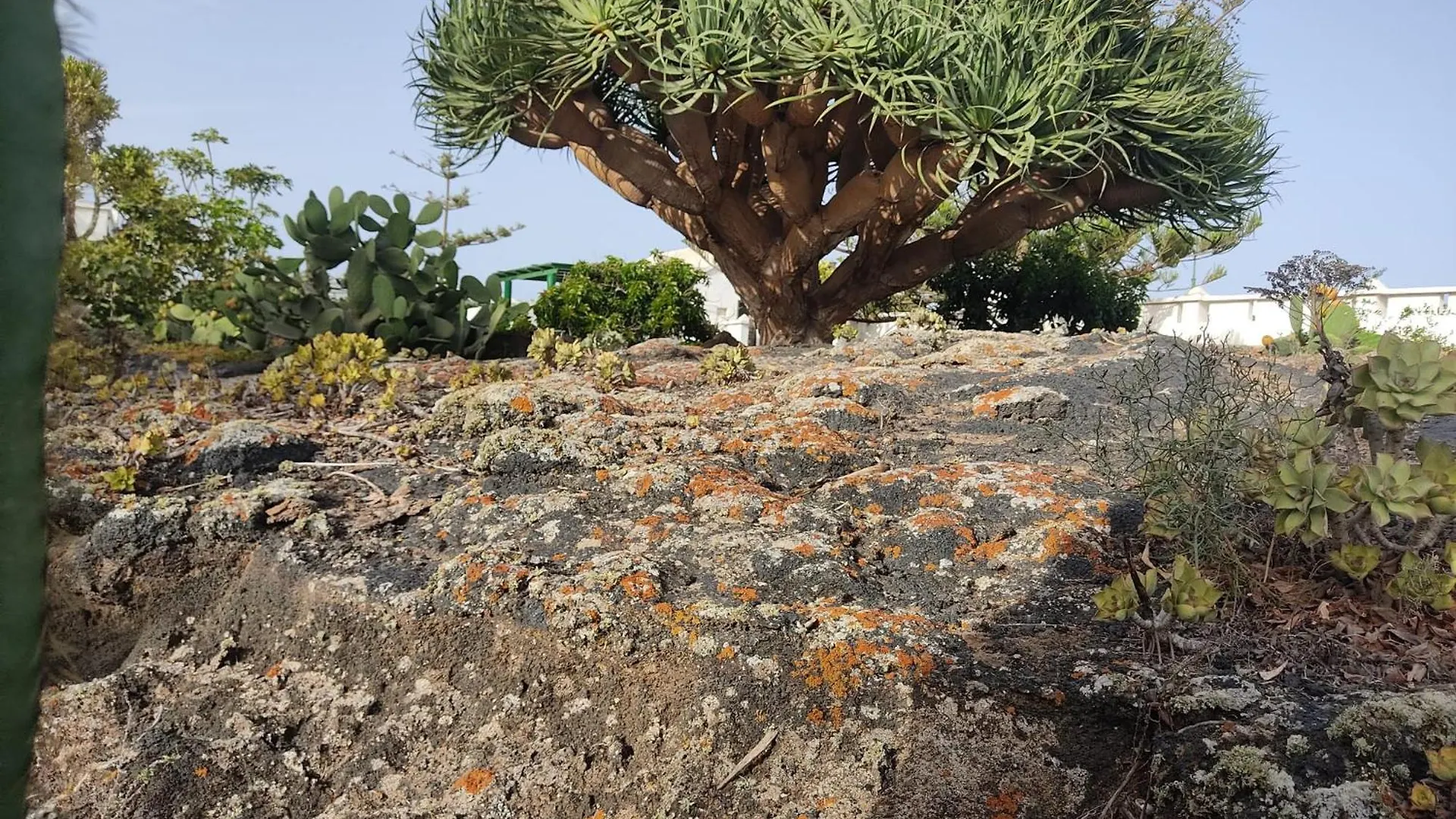 Σπίτι διακοπών Casa Volcanica El Cabezo Masdache Ισπανία